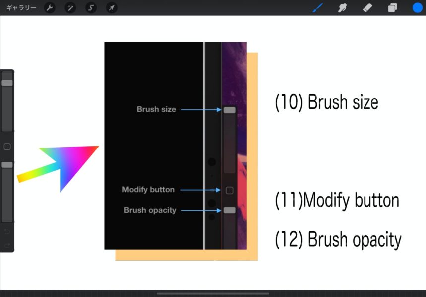 実践procreate 写真をトレース で基本操作に慣れる 4 らるろま